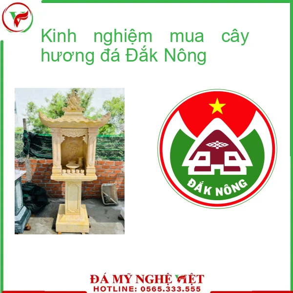 Kinh nghiệm mua cây hương đá Đắk Nông-f2-2006